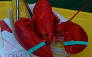 MI-lobster